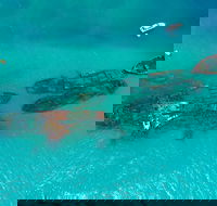 Private Tangalooma Wrecks Tour - Southport Accommodation
