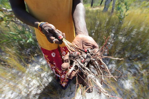 Gay-Wu Woman's 5 Day Yolngu Homeland Tour - Southport Accommodation 0