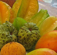 Private Half Day Tour Exclusive World Heritage Rainforest and Waterfall Tour from Cairns - Southport Accommodation