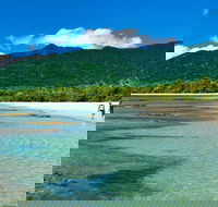 5-Day Best of Cairns with Daintree Kuranda and Great Barrier Reef - Accommodation Southport