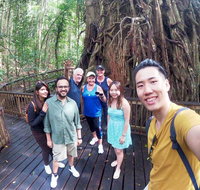 Cairns 4WD Waterfall and Rainforest Tour Including Kuranda Scenic Railway - Southport Accommodation