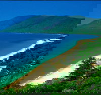 Cairns Reef and Rainforest Combo Daintree Rainforest and the Great Barrier Reef - Accommodation Southport