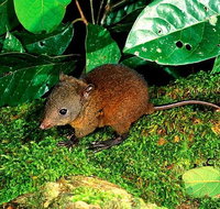 3-Day Small-Group Tour of North Queensland with Pick Up - Southport Accommodation