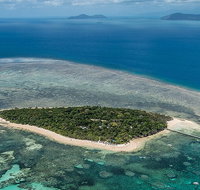 4-Day Cairns with Great Barrier Reef and Daintree Rainforest - Southport Accommodation