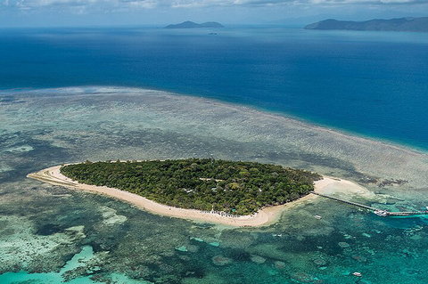 4-Day Cairns With Great Barrier Reef And Daintree Rainforest - Accommodation Southport 0