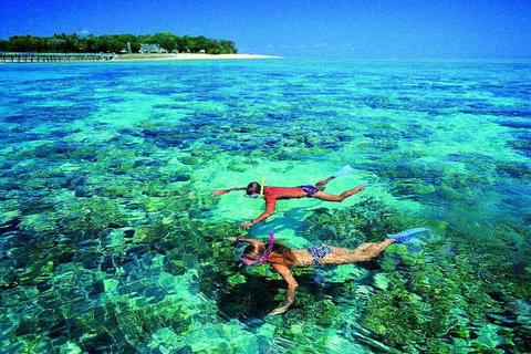 4-Day Cairns With Great Barrier Reef And Daintree Rainforest - Accommodation Southport 2