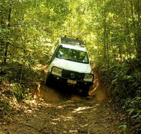 Cairns National Park Rainforest and Waterfall Small Group Tour Shore Excursion - Southport Accommodation