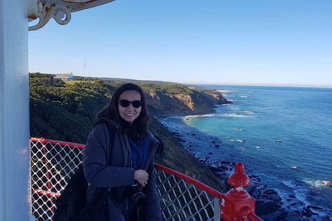 Great Ocean Road Full Day Private Experience - Accommodation Southport 1