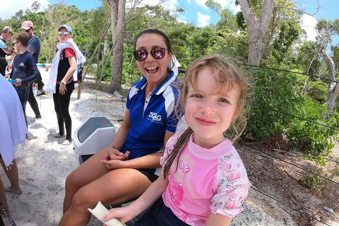 Whitehaven Beach Day Tour With Snorkel In Whitsundays Island - Southport Accommodation 1