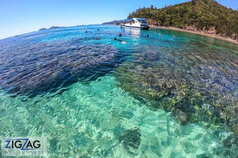 Whitehaven Beach Day Tour With Snorkel In Whitsundays Island - Southport Accommodation 5