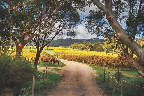 McLaren Vale Winery Small Group Tour With Wine Tasting And Lunch - Southport Accommodation 1