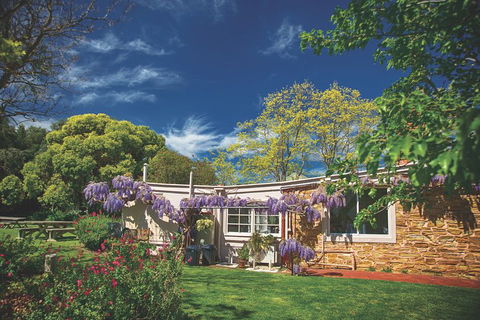 McLaren Vale Winery Small Group Tour With Wine Tasting And Lunch - Southport Accommodation 2