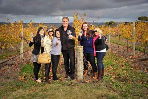 McLaren Vale Winery Small Group Tour With Wine Tasting And Lunch - Southport Accommodation 3
