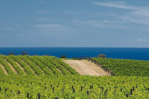 McLaren Vale Winery Small Group Tour With Wine Tasting And Lunch - Southport Accommodation 4