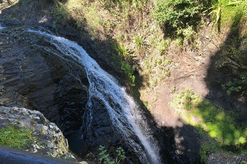 Waterfall Tour - Southport Accommodation 1