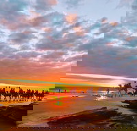 1 Hour Broome Sunset Camel Tour - Southport Accommodation