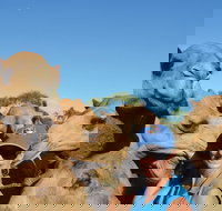 Broome Pre-sunset Camel Tour 30 minutes - Southport Accommodation