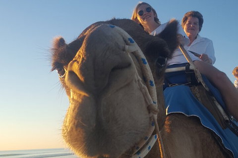 Broome Pre-sunset Camel Tour 30 Minutes - Southport Accommodation 1