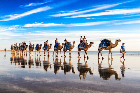 Broome Pre-sunset Camel Tour 30 Minutes - Southport Accommodation 2