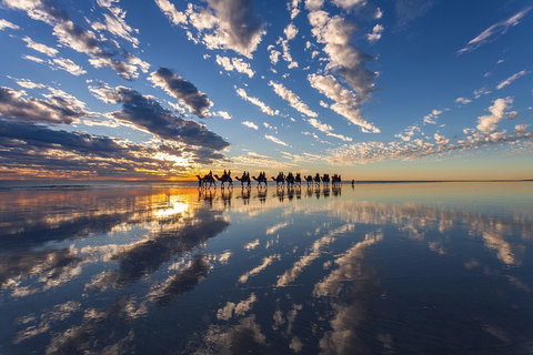 Broome Pre-sunset Camel Tour 30 Minutes - Southport Accommodation 4