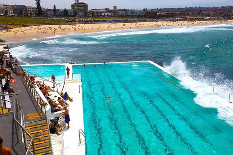 Private Sydney Half Day Tour Including Sydney Opera House And Bondi Beach - Southport Accommodation 1