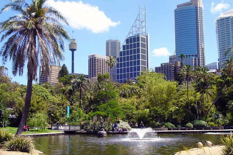 Private Sydney Half Day Tour Including Sydney Opera House And Bondi Beach - Southport Accommodation 4