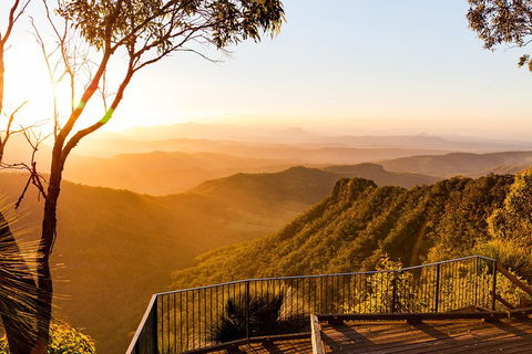 O'Reilly's & Lamington National Park Incl. Alpaca Farm + Vineyard - Southport Accommodation 0