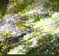 Fraser Island 4WD Tour from Noosa - Accommodation Southport