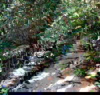 Fraser Island 4WD Tour from Rainbow Beach - Accommodation Southport