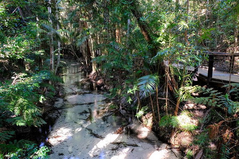 Fraser Island 4WD Tour From Rainbow Beach - Accommodation Southport 0