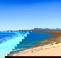 Kayak with Dolphins and 4WD Great Beach Drive Day Trip from Noosa - Accommodation Southport
