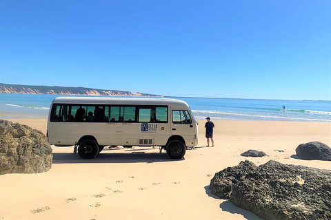 Kayak With Dolphins And 4WD Great Beach Drive Day Trip From Noosa - Accommodation Southport 4
