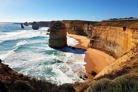 Helicopter Flight + Fine Dining Private Luxury Great Ocean Road Tour - Southport Accommodation 4