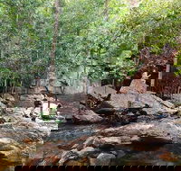 Ethical Adventures - Best in the WET - Litchfield / Kakadu 3 Day- max 10 guests - Accommodation Southport