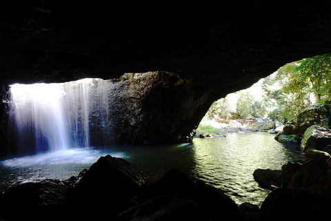 Natural Arch, Rainforest & Volcano Canyon - Private Half Day Tour - Southport Accommodation 0