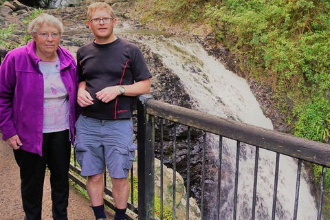 Natural Arch, Rainforest & Volcano Canyon - Private Half Day Tour - Southport Accommodation 1