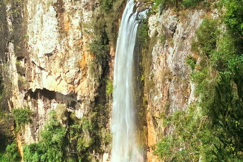 Natural Arch, Rainforest & Volcano Canyon - Private Half Day Tour - Southport Accommodation 2