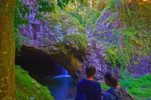 Natural Arch, Rainforest & Volcano Canyon - Private Half Day Tour - Southport Accommodation 4