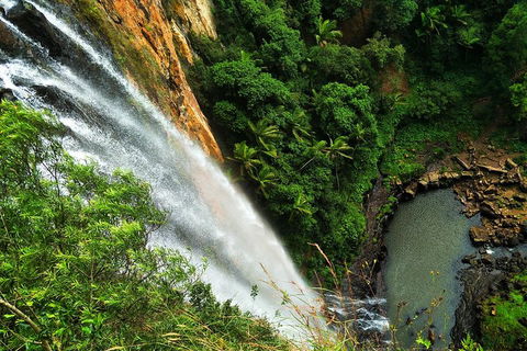 Natural Arch, Rainforest & Volcano Canyon - Private Half Day Tour - Southport Accommodation 5