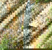 Private Tour - Rainforest  Waterfalls Extravaganza - Southport Accommodation