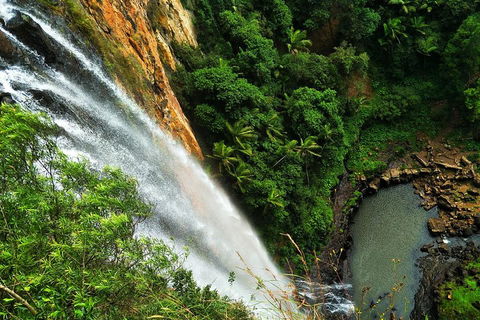 Private Tour - Rainforest & Waterfalls Extravaganza - Southport Accommodation 2