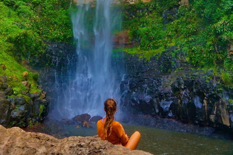 Private Tour - Rainforest & Waterfalls Extravaganza - Southport Accommodation 3