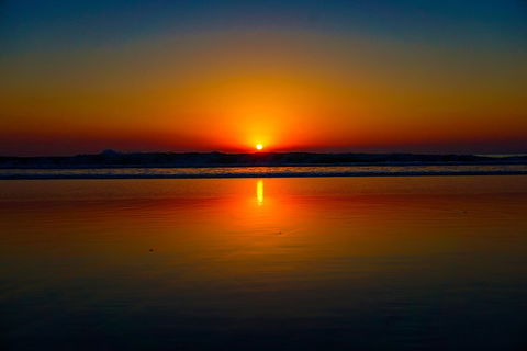 Glow Worms Private Tour - Nocturnal Rainforest Walk - Southport Accommodation 3