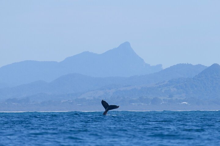 Byron Bay NSW Southport Accommodation