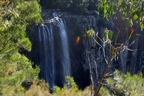 Byron Bay Hinterland Tour Including Rainforest Walk To Minyon Falls - Southport Accommodation 0