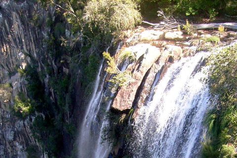 Byron Bay Combo: Hinterland Tour Including Minyon Falls And Kayaking With Dolphins - Southport Accommodation 3