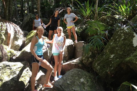 Byron Bay Combo: Hinterland Tour Including Minyon Falls And Kayaking With Dolphins - Southport Accommodation 4