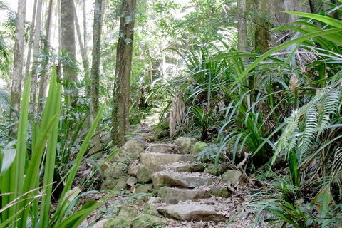 Byron Bay Combo: Hinterland Tour Including Minyon Falls And Kayaking With Dolphins - Southport Accommodation 5