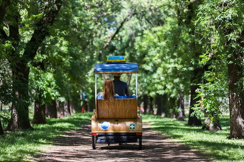 Adelaide 90-Minute Pedicab Tour: Scenic Green & River Experience - Southport Accommodation 2