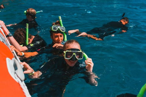 Whitehaven Beach And Hill Inlet Lookout Full-Day Snorkeling Cruise By High-Speed Catamaran - Accommodation Southport 3